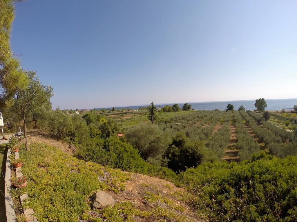 게라크니 Kostas House 아파트 객실 사진